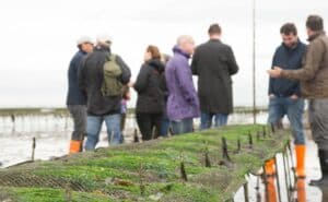 People standing around an oyster farm for Whitstable Oyster Tours in Kent